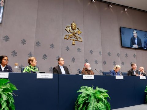 Papal commission releases report highlighting progress in safeguarding