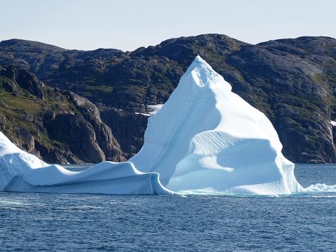 Selfishness is blocking progress on climate change, cardinal says