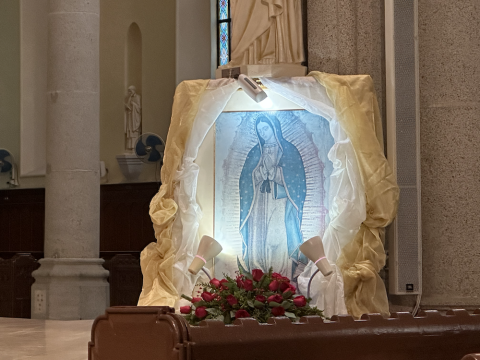 Mass in honour of Our Lady of Guadalupe celebrated at cathedral
