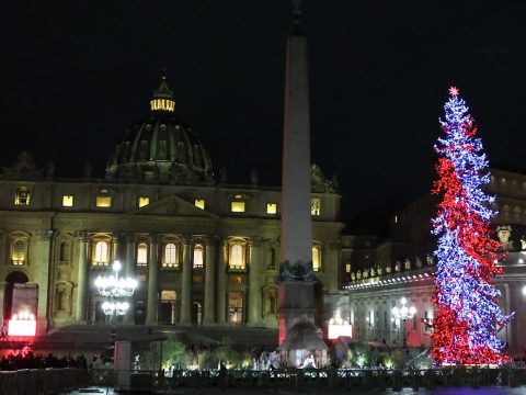 Creche and Christmas tree in St. Peter’s Square