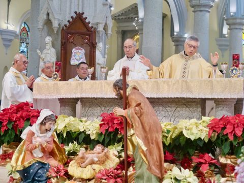 Transforming hearts for peace —Cardinal Stephen’s call on World Day of Peace