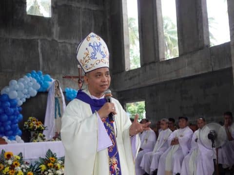 Apostolic vicar of Puerto Princesa calls for prayers and action to heal sick environment