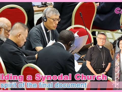 Video: Building a Synodal Church — The spirit of the final document
