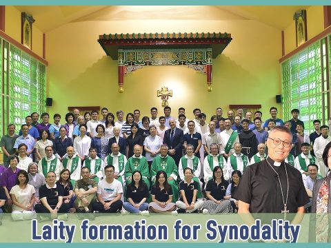 Video: Laity formation for synodality