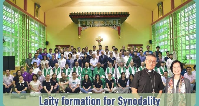 Video: Laity formation for synodality