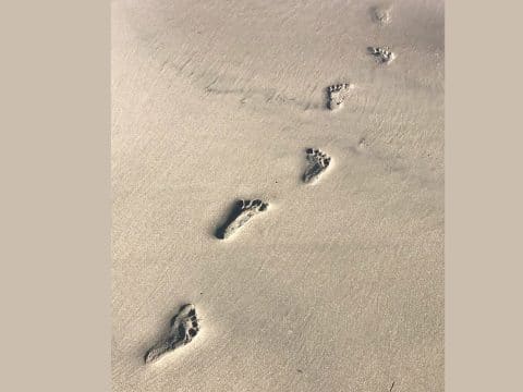 One set of footprints in the sand