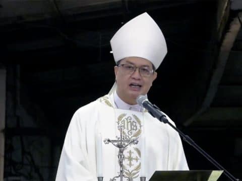 Cardinal David sums up Pope Francis’ legacy