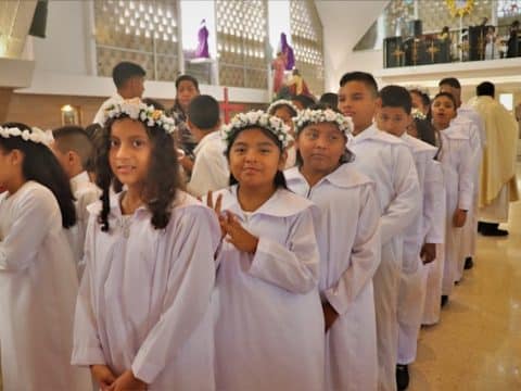 Vatican says baptisms down, but first Communions and confirmations up