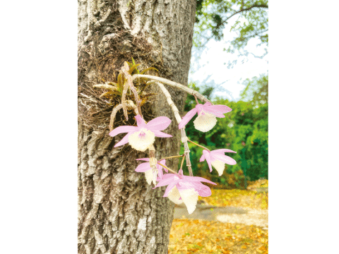  Journey from restlessness to Resurrection