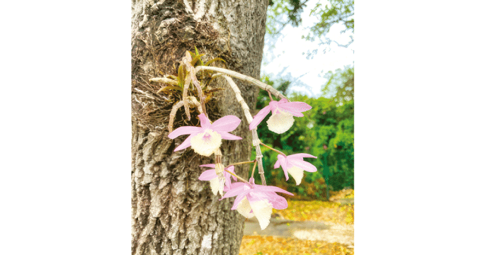 Journey from restlessness to Resurrection