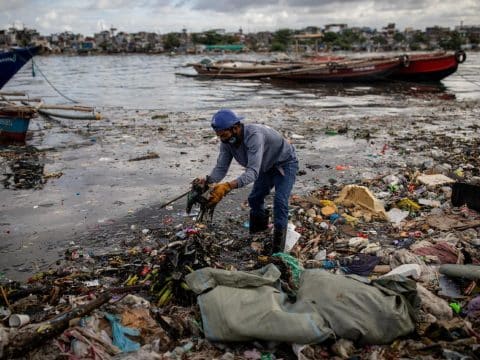 With Laudato Si’, Pope Francis firmly planted ecology into Catholic social teaching