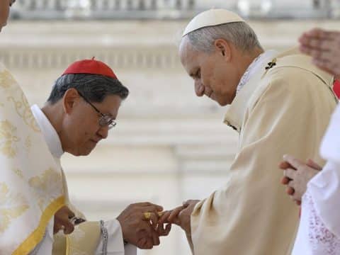 Pope Leo begins papacy calling for a ‘united Church’ in a wounded world