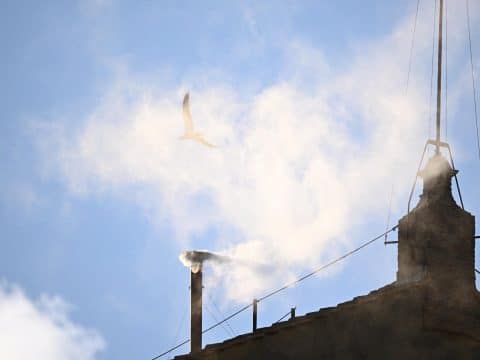 Habemus Papam, et larus est!
