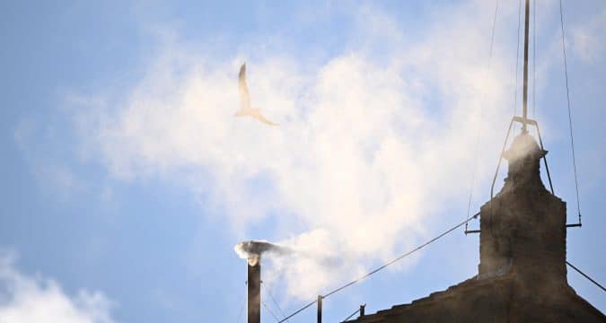 Habemus Papam, et larus est!