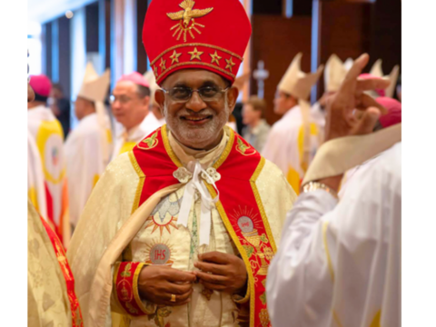 Syro-Malabar Synod urges action on declining population and ‘reckless’ migration