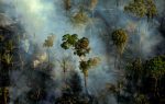 Smoke billows from a fire in an area of the Amazon rainforest near Porto Velho, Brazil, September 10. Photo: CNS/Reuters