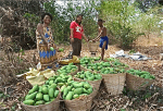 The Aeta people with their harvests. Photo: PREDA