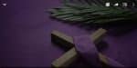 Palm Sunday Mass - live streaming
