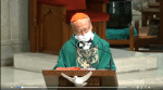 Cardinal Tong: Homily Seventh Sunday in Ordinary Time