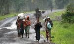 Displaced people aalong a road near Goma, Congo. Photo: CNS/Reuters