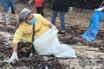 A nun picks up garbage on a Palawan beach on September 3. Photo: UCAN/supplied