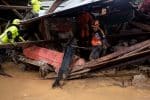 Rescue personnel using a search dog work at an area hit by a mudslide in Queja, Guatemala, on November 7. Photo: CNS/Esteban Bilba pool via Reuters