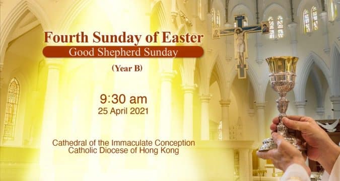 Fourth Sunday of Easter.  From the Cathedral of the Immaculate Conception, Hong Kong, April 25, 9.30pm (UTC/GMT +8)