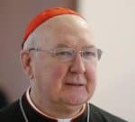 Cardinal Farrell. File photo: CNS/Paul Haring