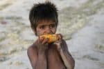 An Afghan boy eats corn on a roadside in Kabul, Afghanistan, in 2011. File photo: CNS /Mohammad Ismail, Reuters