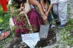 Relatives of disappeared people in in Buenos Aires, Argentina, plant a tree in homage on March 24, the 45th anniversary of the 1976 military coup at the former Naval Mechanics School building which was used as a torture centre. Photo: CNS/Agustin Marcarian, Reuters