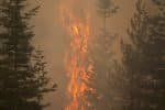 The Bootleg Fire burns through vegetation near Paisley, Oregon, on July 20. Photo: CNS/David Ryder, Reuters