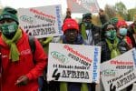Act now climate protesters demand of world leaders