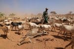 Kenyan bishops urge decisive action on climate change-induced drought