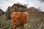 Never forget or repeat horrors of Holocaust, pope says