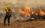 Caritas seeks funds as millions of acres burn in Argentina