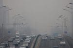 Call for immediate action following UN warning on climate