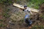 Scourge of child labour shames Asia