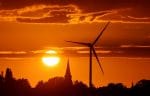 ￼Pope calls for united efforts in care for creation during Laudato Si' Week