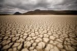 Pope says fighting climate change is a moral imperative 