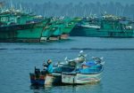 Multi-billion dollar port project endangers the future of fisherfolk
