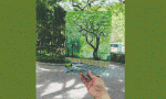 Art gallery for you