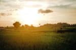 Moratorium on debt payments for Philippine farmers signed