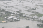 Philippine farmers call for aid after devastating typhoon