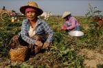 Caritas and UNESCO: women in leadership