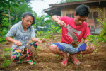 Young Philippine indigenous get education boost