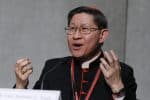 Continue the story of vocations through mission cardinal urges