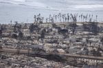 Pope offers prayers for victims of Hawaiian fires