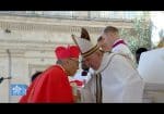 Habemus cardinalem! Cardinal Stephen Chow, SJ
