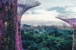 Catholics in Singapore mark the Season of Creation