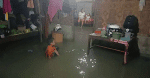 Indonesian government project blamed for unprecedented flooding